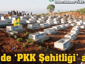 PKK şehitliği açıldı