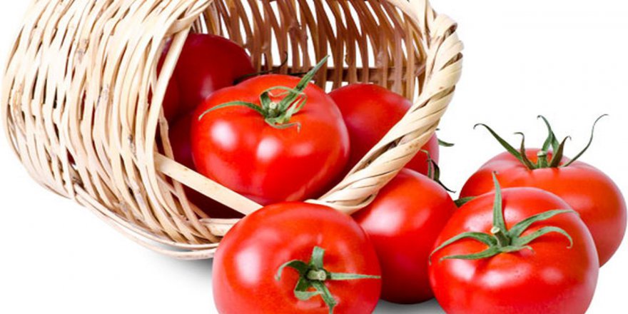 NEDEN İDRARDA DOMATES ÜRETİLİYOR?