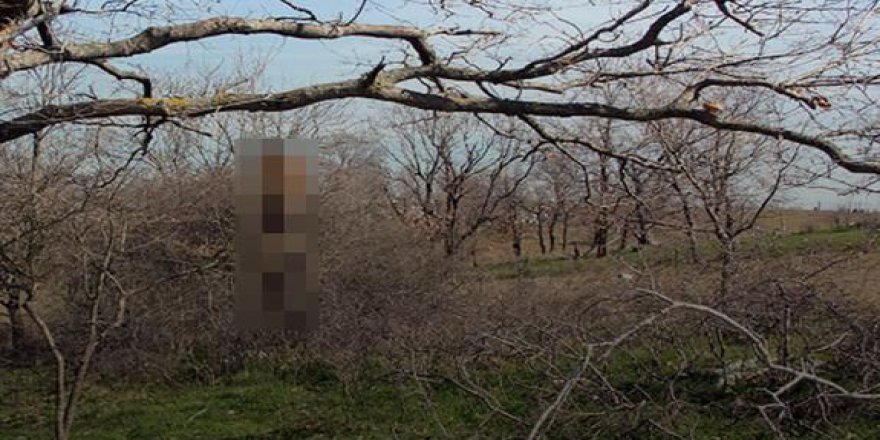 Tekirdağ'da kan donduran görüntü