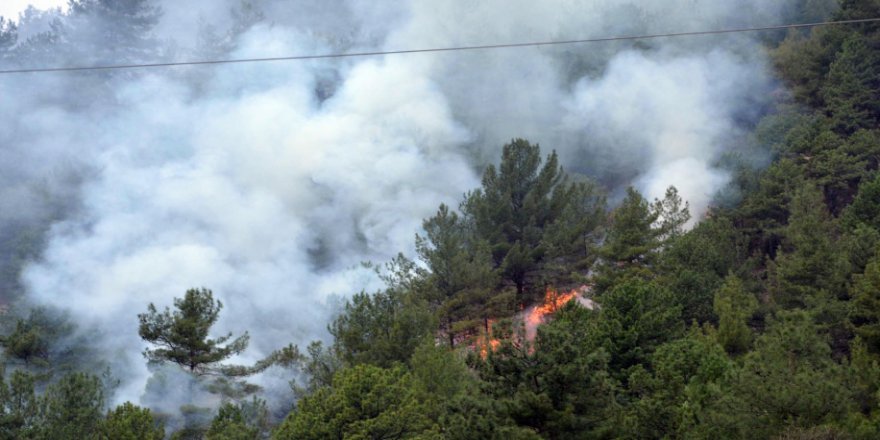Karabük'te orman yangını