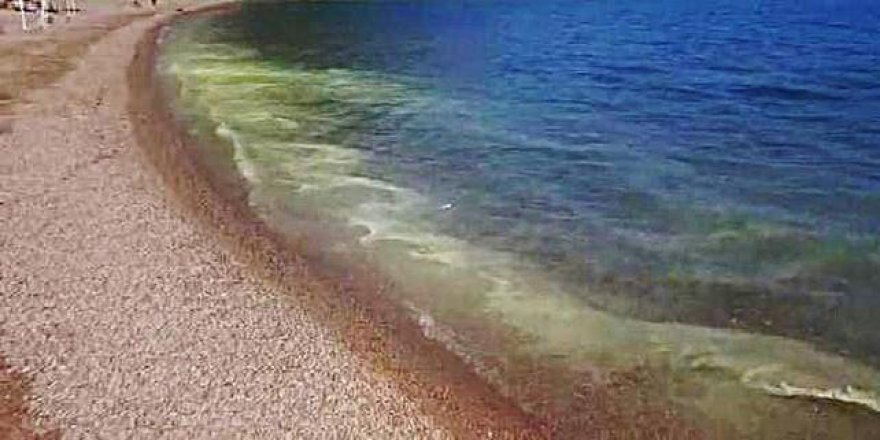 Marmaris'te korkutan görüntü