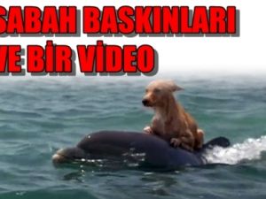 Sabah Baskınları ve Bir Video