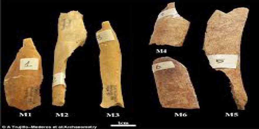 Meksika’da 2700 yıllık insan eti pişirme tarifi ortaya çıktı