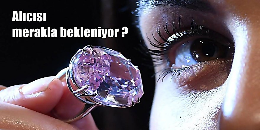 Dünyanın en büyüğü satışa çıkıyor ; 50 Milyon Dolar