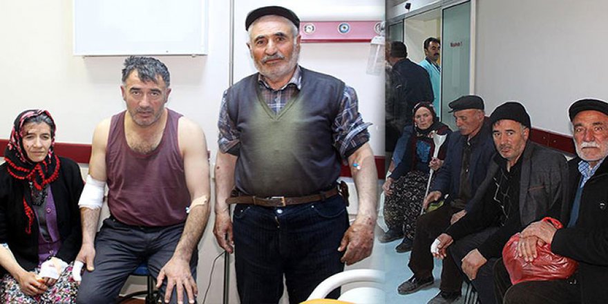 Köyde aç kurt dehşeti