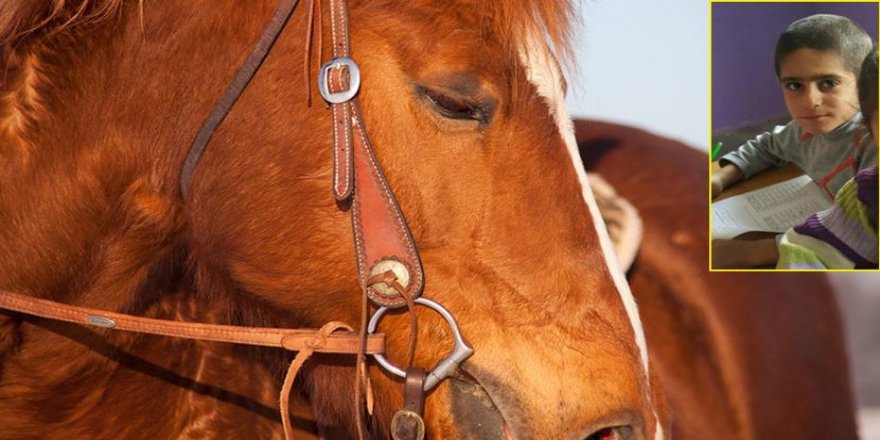 Atına su veren çocuğun kahreden ölümü