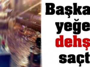 Başkanın yeğeni dehşet saçtı