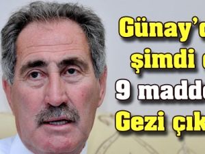 Günay'dan şimdi de 9 maddelik Gezi çıkışı