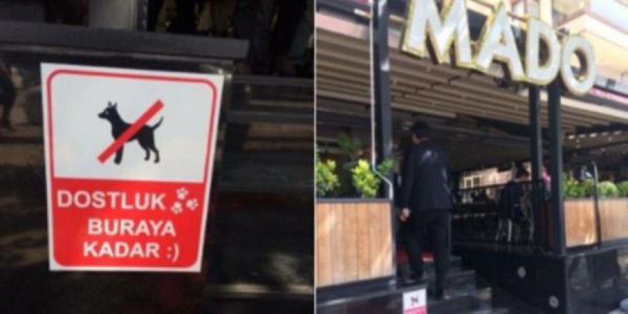 Sosyal medyada Mado'ya tepki yağıyor