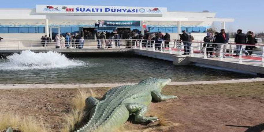 Eskişehir hayvanat bahçesinde ziyaretçi rekoru