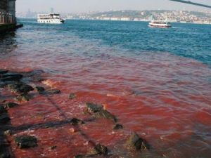 Boğaz Yine Kıpkırmızı