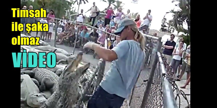 Timsah bakıcısı hava atmak isteyince