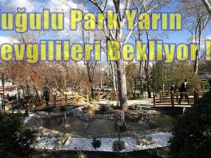 Ankara'lı Sevgililer Yarın Kuğulu Parkta Buluşuyor