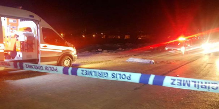 Manisa’da vahşet: Boğazını kesip yola attılar