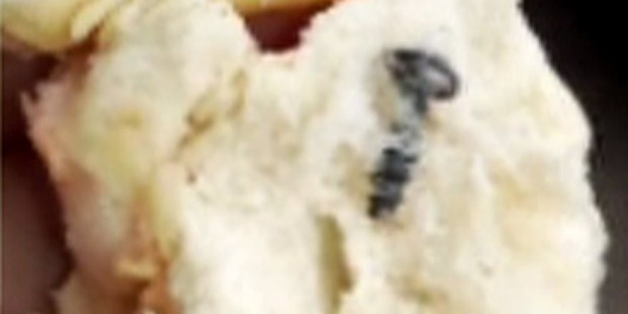 Ekmekten vida çıktı