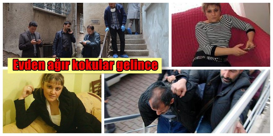 Ordu'da vahşi cinayet