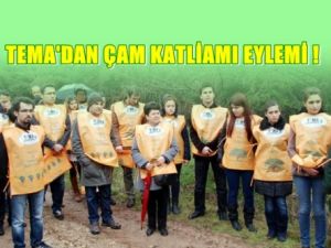 Üniversite de TEMA Eylem Yaptı