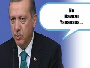ERDOĞAN; NE  HAVUZU YAAAA.