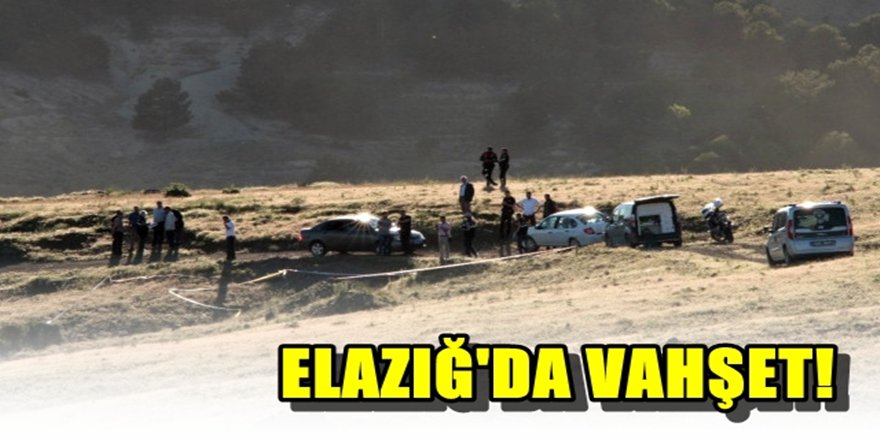 Elazığ'da vahşet : 1ölü