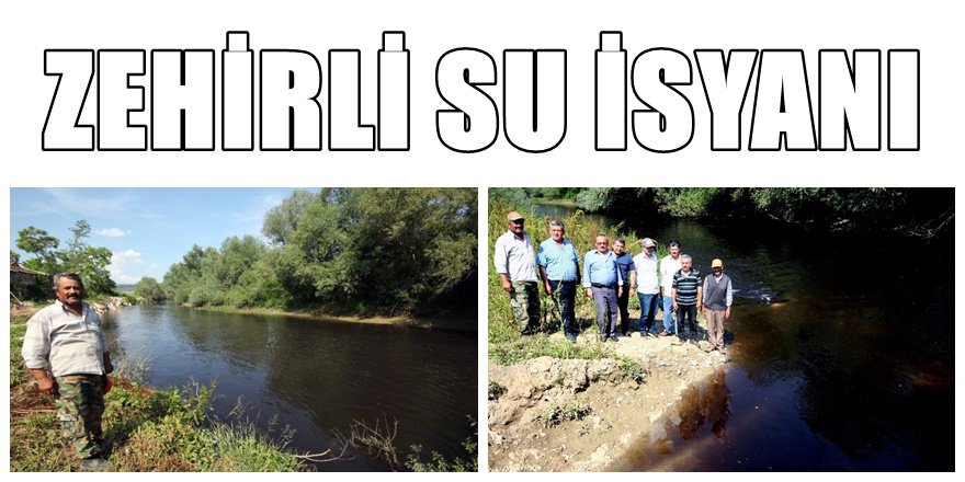 Bursa tarımına zehirli su skandalı