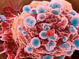 Erkeklere Müjdeli Haber