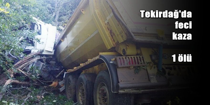 Kamyon şoförünün feci ölümü