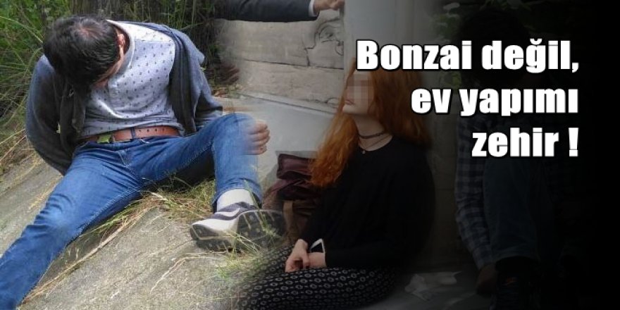 Bonzai zannediliyordu ev yapımı kimyasal çıktı
