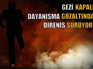 Gezi Parkı Kapatıldı, Taksim Dayanışması Gözaltında, Direniş Sürüyor