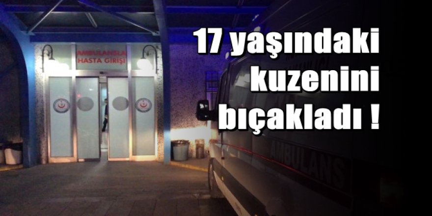 Konya'da kuzenlerin kavgası kanlı bitti