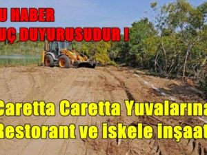 Carettalar Ticari Şehvete Kurban Ediliyor !