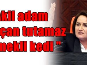 Meral Şener'den Akil Tanımı; 'sıçan Tutamaz, Emekli Kedim"