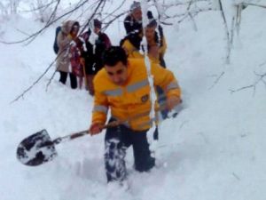 Doktor Kar Küredi, Şöför Sırtında Taşıdı