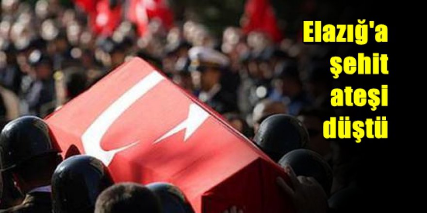Elazığ'da çatışma: 1 asker şehit oldu, 1 asker yaralı