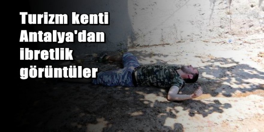 Bir bonzai dramıda Antalya'dan