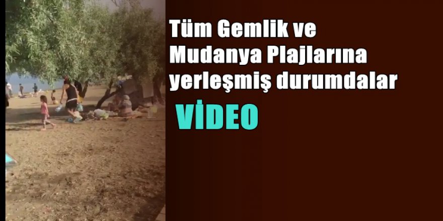 Bursa'da plaj işgalcisi Suriyelilere isyan