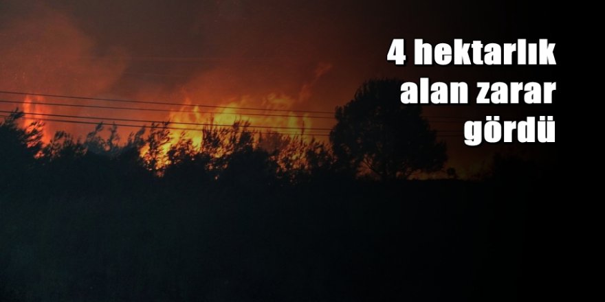 Datça'da orman yangını: 4 hektarlık alan zarar gördü