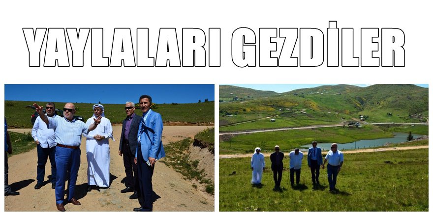 Katarlı zenginler ordu yaylalarına otel yapacak