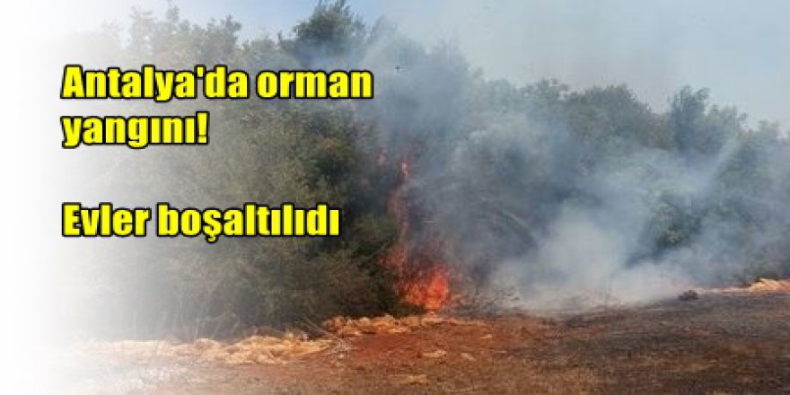 Antalya'da korkutan yangın