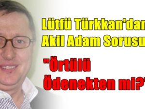 MHP'li Türkkan; Akil İnsan Ücreti Örtülü Ödenekten mi?