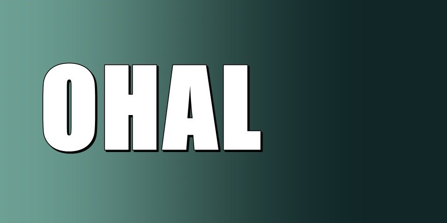 Erdoğan'dan flaş OHAL açıklaması