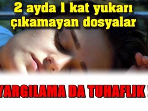 Dosyası 2 Ayda 1 Kat Yukarı Çıkamayan Yargılama