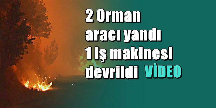 İzmir'de çıkan orman yangınında korkutan gelişme