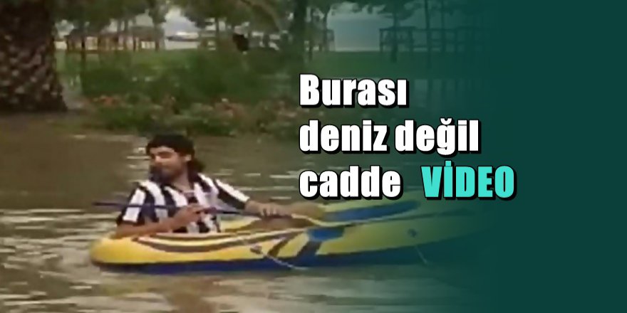 İstanbul caddelerinde bot keyfi