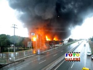 Yalova Aksa'da Yangın