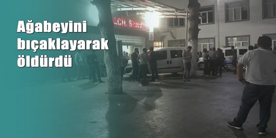Kardeş kavgası cinayetle bitti