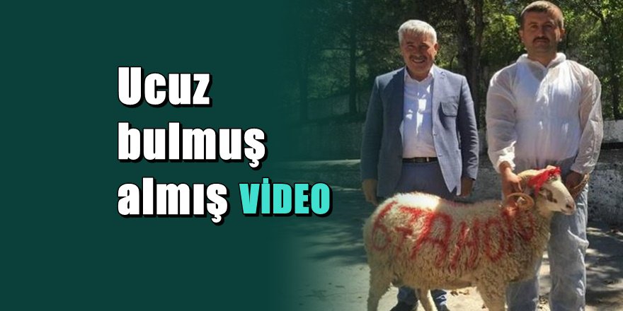 AKP'li Belediye Başkanı lüks makam aracını trafiğe böyle çıkardı