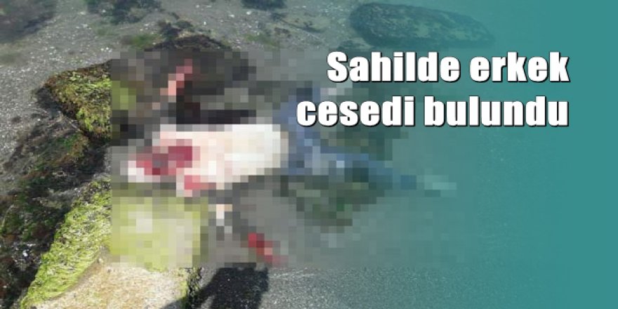 Yalova'da sahilde ceset bulundu