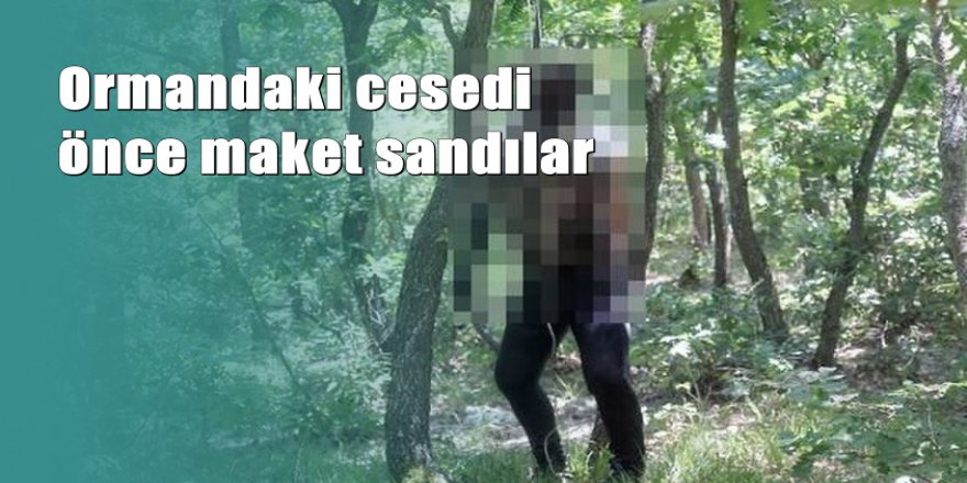 Tekirdağ'da ormanda ağaca asılı ceset bulundu