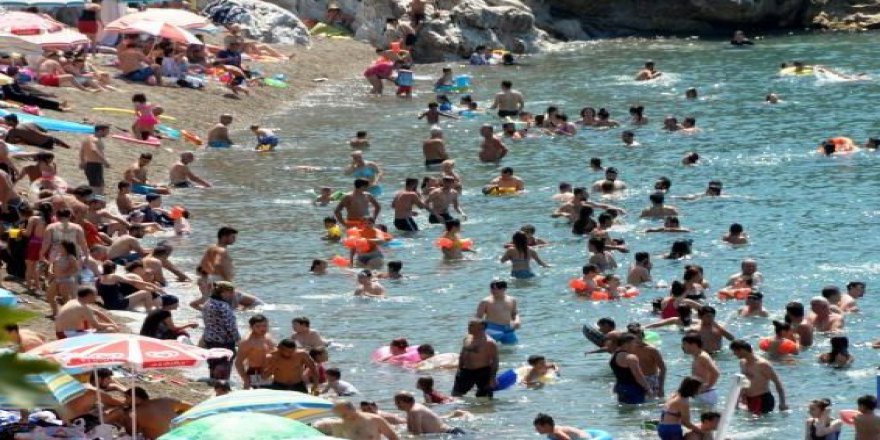 Zonguldak Kapuz plajında arı istilasına açıklama