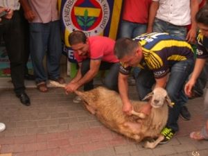 Taraftar Kocaman'ın istifasını kurban keserek kutladı